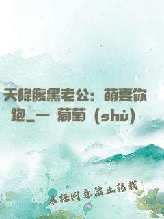 天降腹黑老公：萌妻你別跑