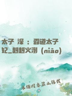 太子爺深寵：霸道太子妃