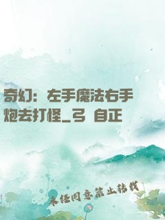 奇幻：左手魔法右手槍炮去打怪