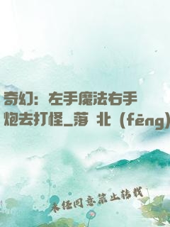 奇幻：左手魔法右手槍炮去打怪