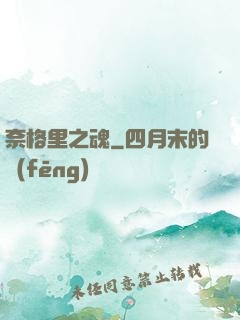 奈格里之魂