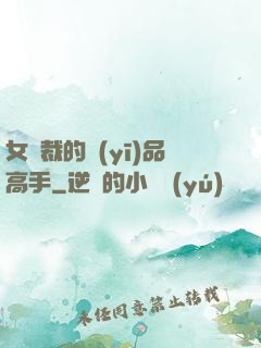 女總裁的醫(yī)品高手