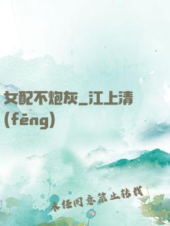 女配不炮灰