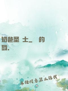 奶爸圣騎士