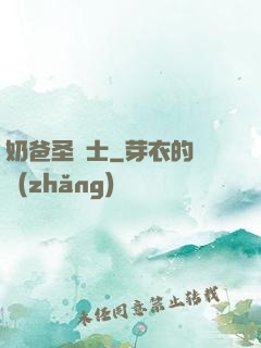 奶爸圣騎士