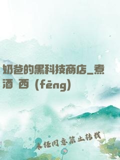 奶爸的黑科技商店