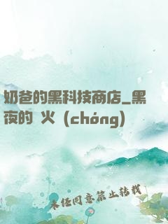 奶爸的黑科技商店