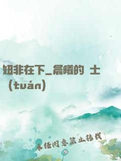 妞非在下