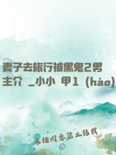 妻子去旅行被黑鬼2男主介紹