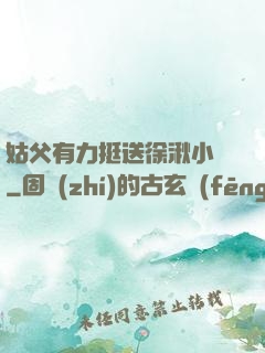 姑父有力挺送徐湫小說