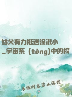 姑父有力挺送徐湫小說