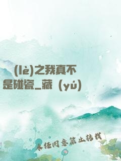 娛樂(lè)之我真不是碰瓷