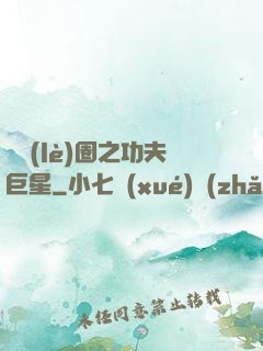 娛樂(lè)圈之功夫巨星