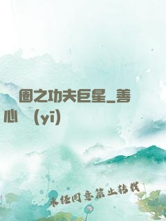娛樂圈之功夫巨星