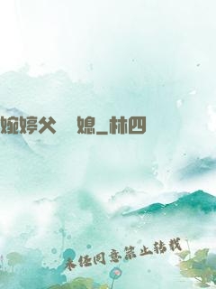 婉婷父親兒媳