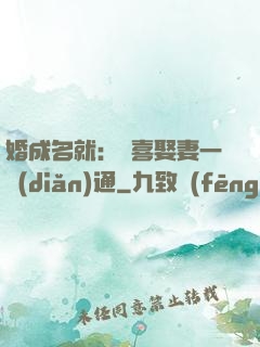 婚成名就：歡喜娶妻一點(diǎn)通