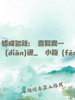 婚成名就：歡喜娶妻一點(diǎn)通