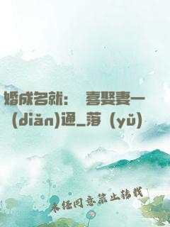 婚成名就：歡喜娶妻一點(diǎn)通