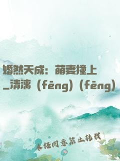 婚然天成：萌妻撞上門