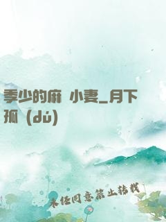 季少的麻煩小妻