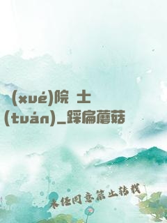 學(xué)院騎士團(tuán)