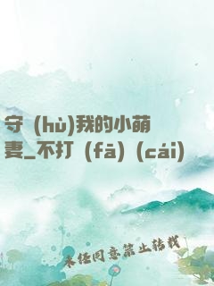 守護(hù)我的小萌妻