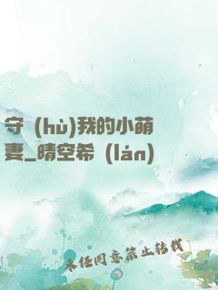守護(hù)我的小萌妻