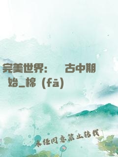 完美世界：從亂古中期開始