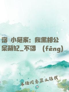 宿敵小冤家：腹黑相公呆萌妃