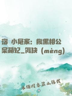 宿敵小冤家：腹黑相公呆萌妃