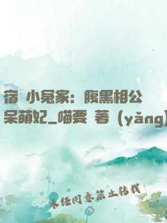 宿敵小冤家：腹黑相公呆萌妃