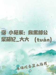 宿敵小冤家：腹黑相公呆萌妃
