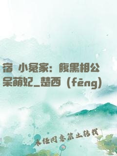 宿敵小冤家：腹黑相公呆萌妃