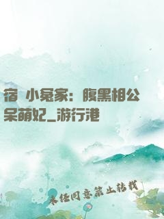 宿敵小冤家：腹黑相公呆萌妃