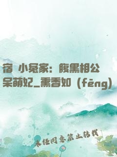 宿敵小冤家：腹黑相公呆萌妃