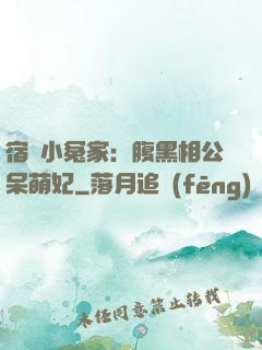 宿敵小冤家：腹黑相公呆萌妃