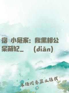 宿敵小冤家：腹黑相公呆萌妃