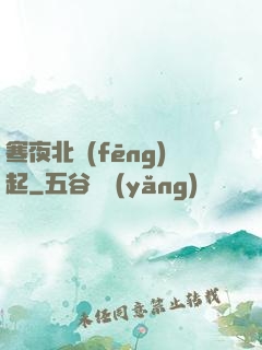 寒夜北風(fēng)起
