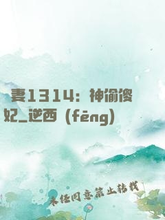 寵妻1314：神偷傻妃