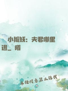 寵寵小狐妖：夫君哪里逃