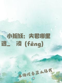 寵寵小狐妖：夫君哪里逃