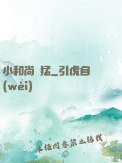 小和尚兇猛