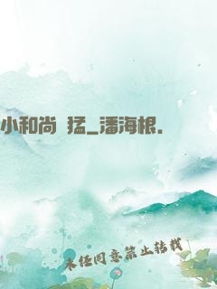 小和尚兇猛