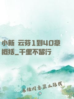 小新與云芬1到40章概括