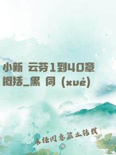 小新與云芬1到40章概括