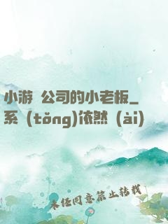 小游戲公司的小老板