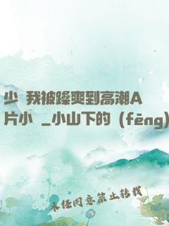 少婦我被躁爽到高潮A片小說