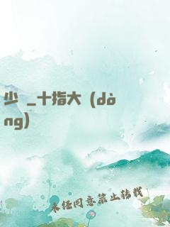 少帥