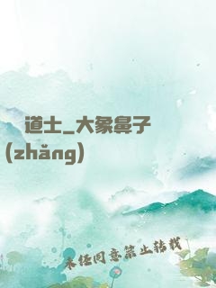 屌絲道士