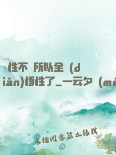 屬性不夠所以全點(diǎn)悟性了